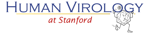 Human Virology at Stanford